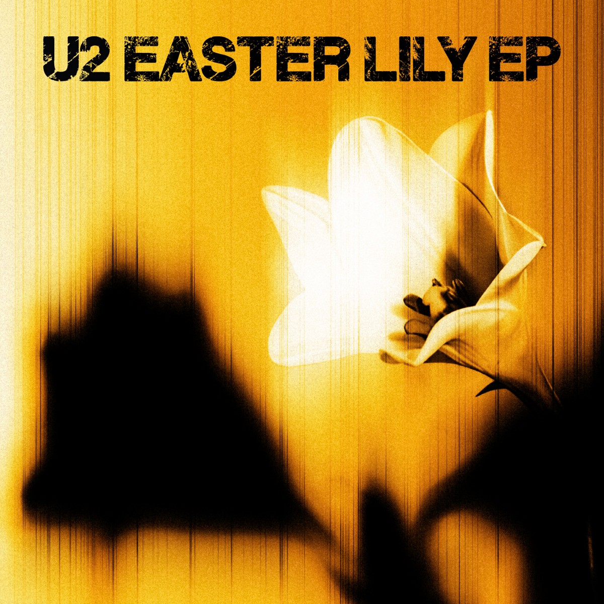 Easter Lily : U2 est (encore) de retour !